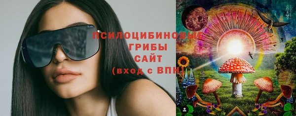 соль ск Медногорск