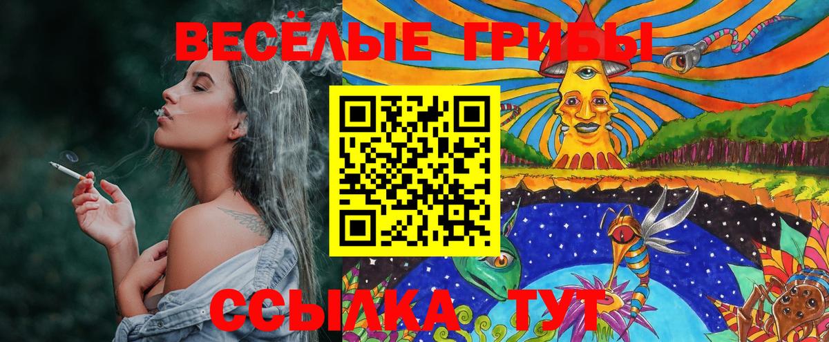 Галлюциногенные грибы Cubensis  Вход с VPN  Архангельск  Галлюциногенные грибы ЛСД 